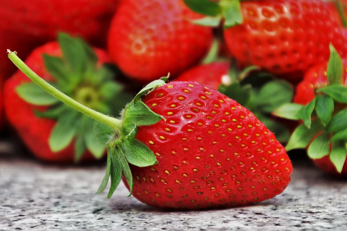 Astuces 2026 pour maintenir une alimentation saine chez les enfants au quotidien