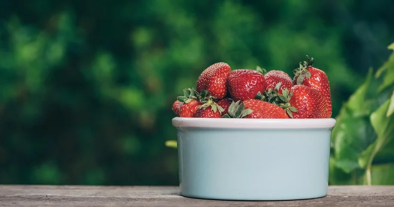 Goûter sans sucre pour les enfants diabétiques : ce qu’il faut savoir